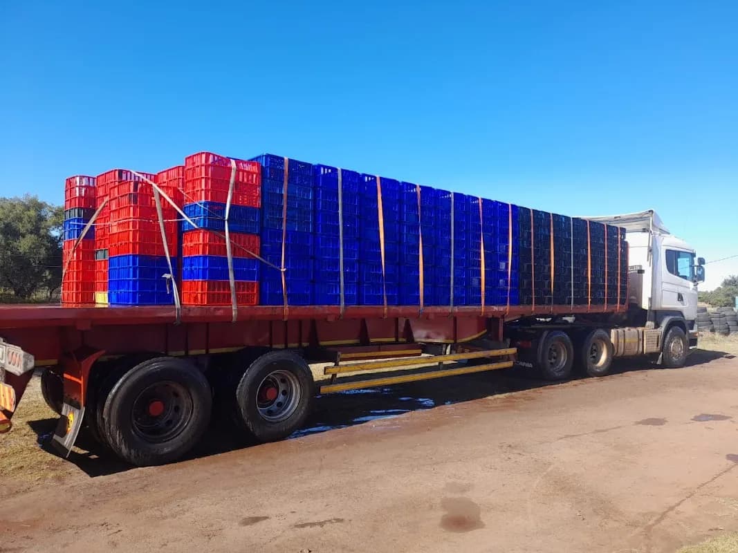 TST Nyabadza Logistics and Projects in Safari Extension