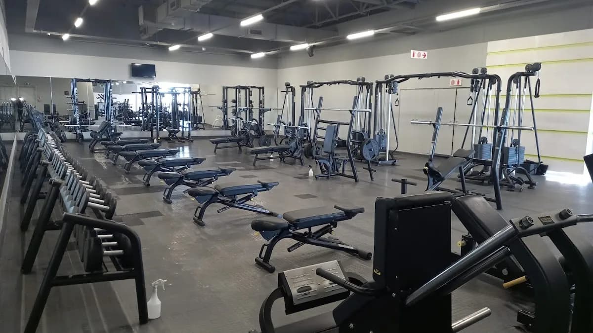 Accelerate Fitness in Northcliff