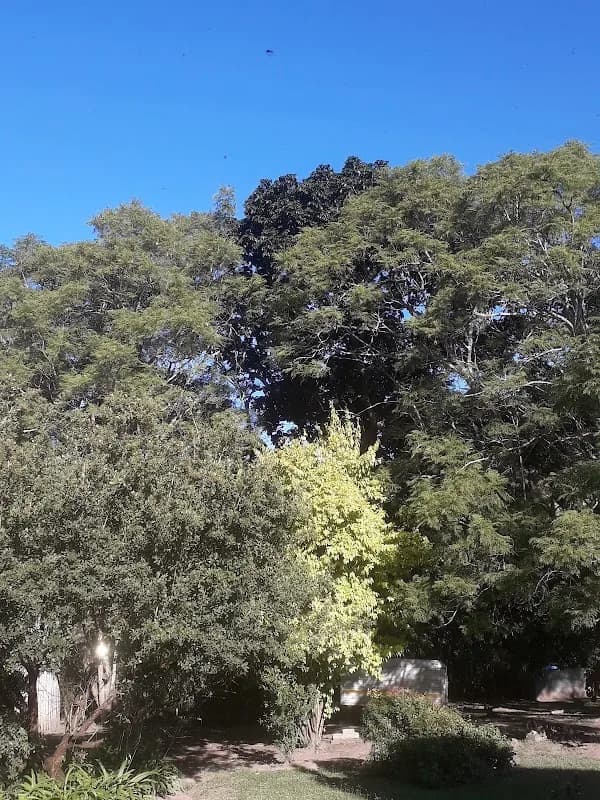 Hope Farm in East London CBD