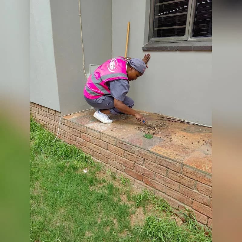 Light and Joy Cleaning Services in Bloemfontein CBD