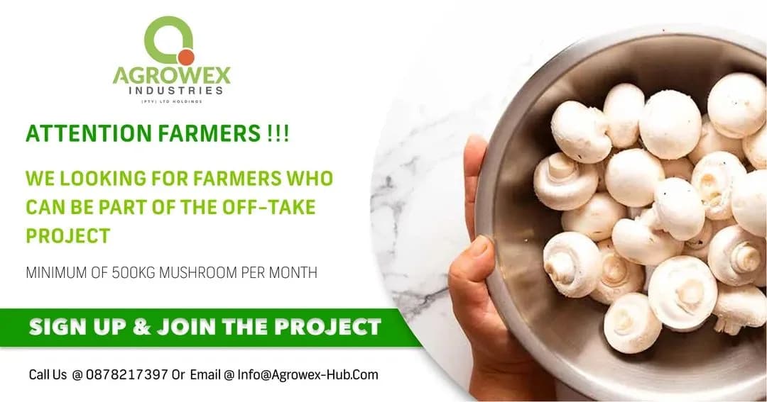 AGROWEX-HUB in Alexandra