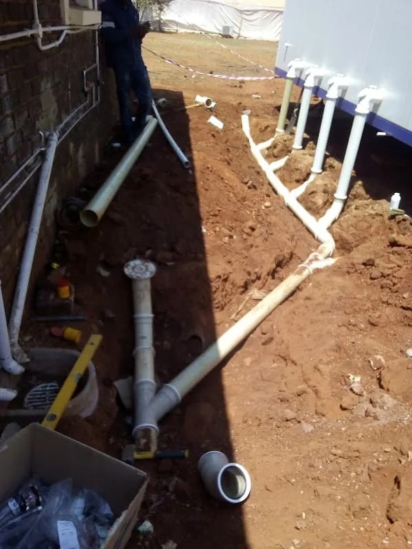 zebra plumbing services in Houghton