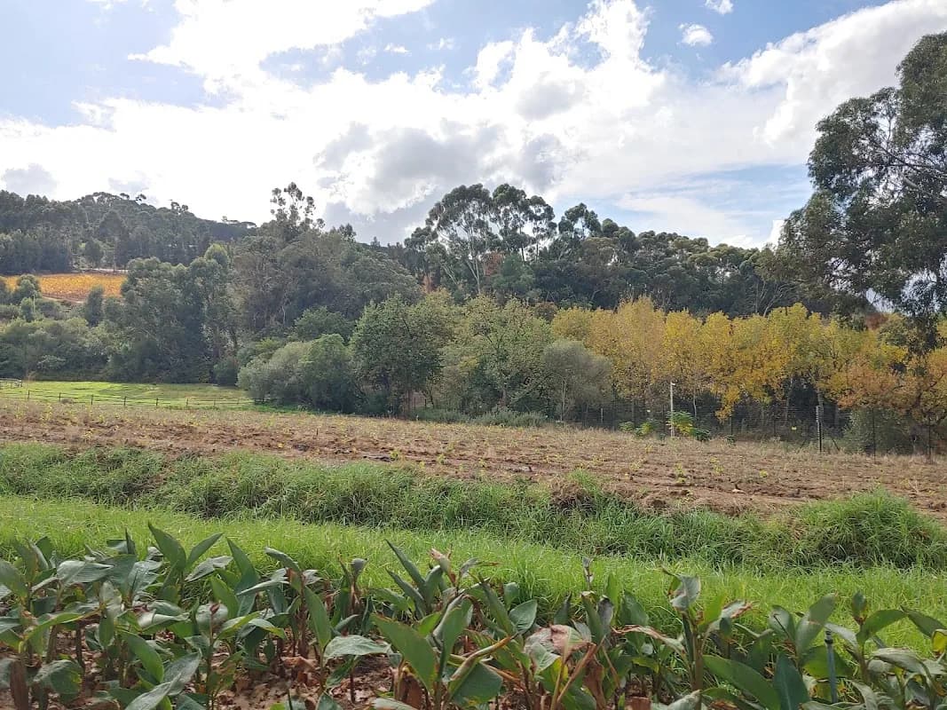 De Hoop - Clift Family Farm in Paarl CBD