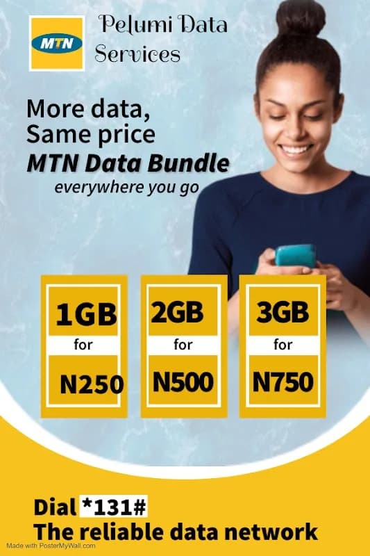 Pelumi Data Services in Mushin