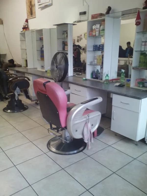 Deluxe Hair Salon in Elsburg