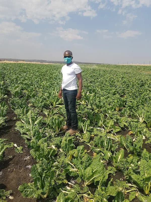 Siphe Development and Capacitation Agency (SIDECA) in Ncambedlana