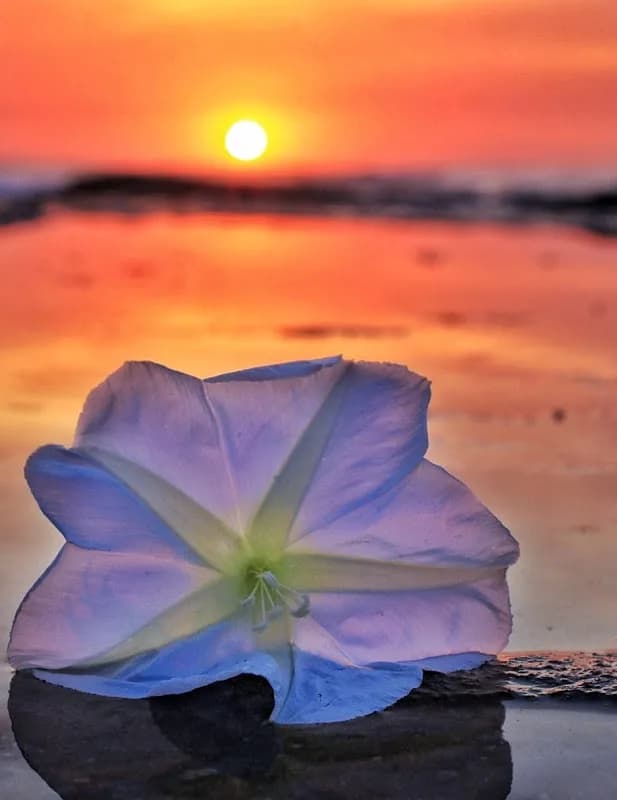 Visual Eyes Kelly McQue Photography in Salt Rock