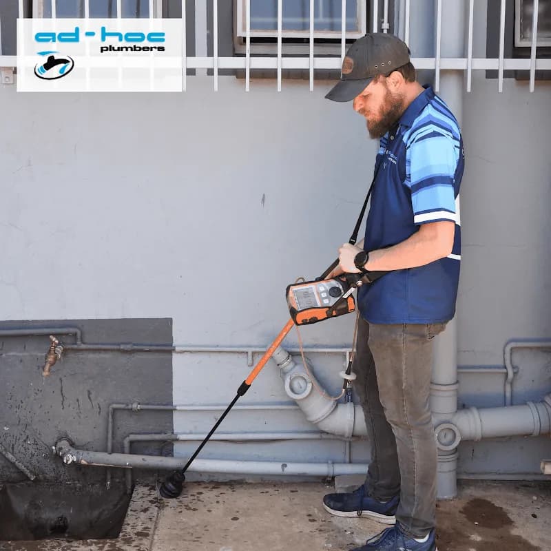 Ad Hoc Plumbers in Arcadia