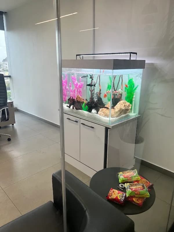 Homerald Aquariums, Water fountain and swimming pool in Kabusa