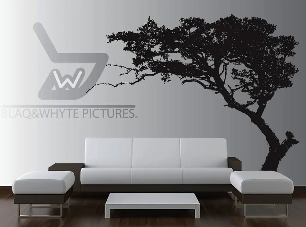 BlaqNWhyte Pictures in Moreleta Park
