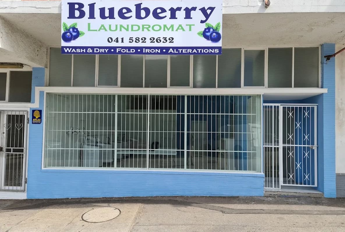Blueberry Laundromat in Walmer