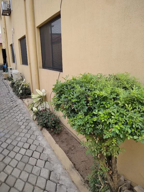 Cedarview Communications Ltd in Omole Phase 2