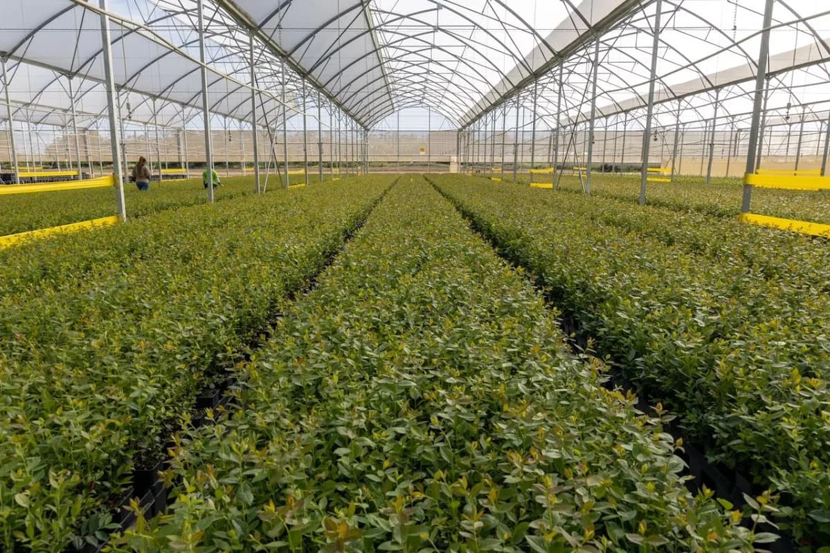 Vegtech Netafim in Kempton Park