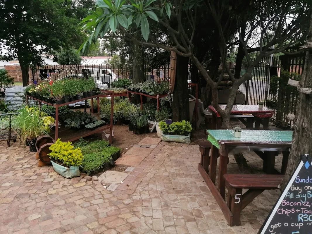 Camel Rock Plant Nursery in Pretoria CBD