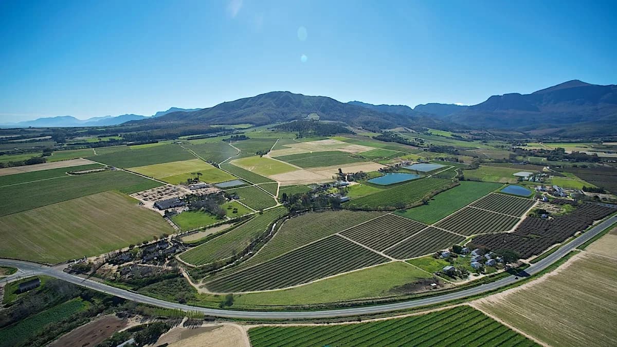 Bosman Family Vineyards, Lelienfontein Farm, Wellington, South Africa in Wellington