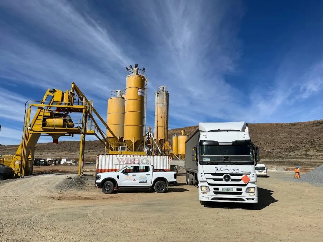 Microzone Transport in Willows