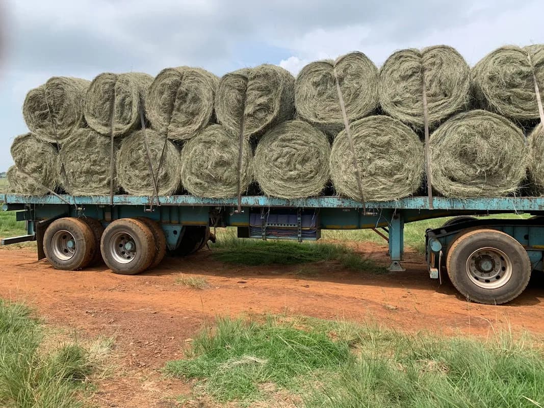 Farm Fresh Mnandi in Wierda Park