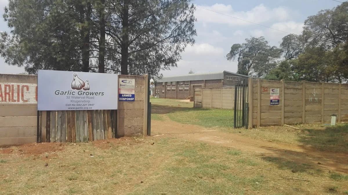 Garlic Growers and Seed Sales in Krugersdorp CBD