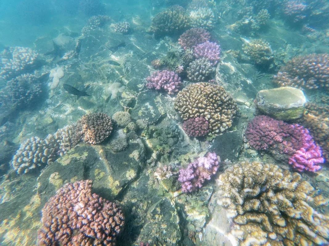 Tidal Tales in Shaka's Rock