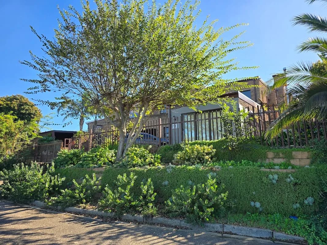 Melvi Todd Consulting in Bellville
