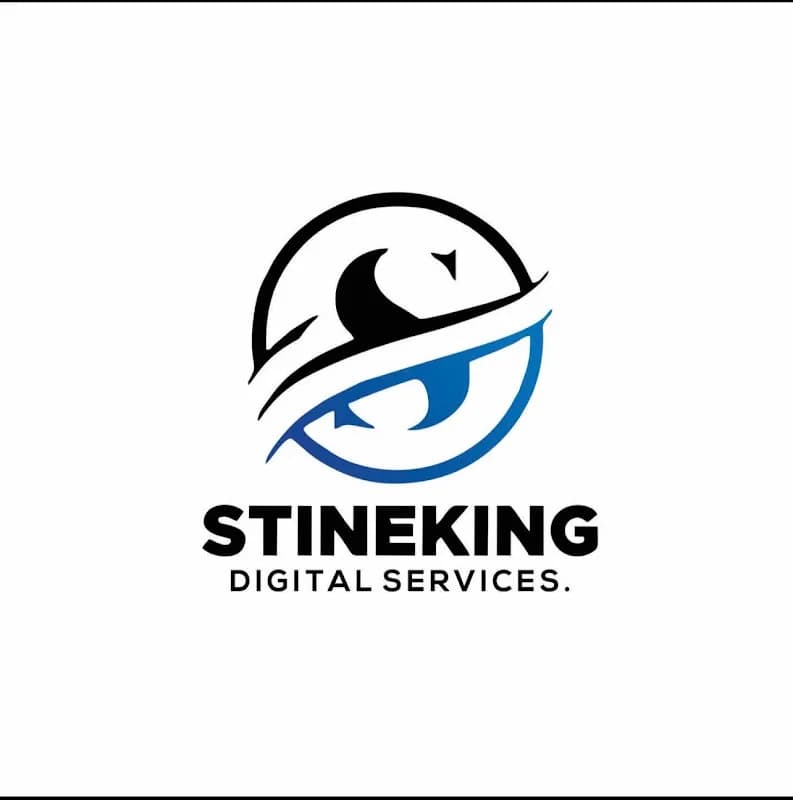 Stineking Digital Services in Ifako-Ijaiye
