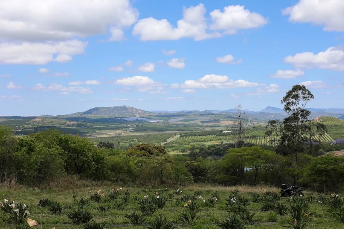 FootHills Coffee Farm in White River