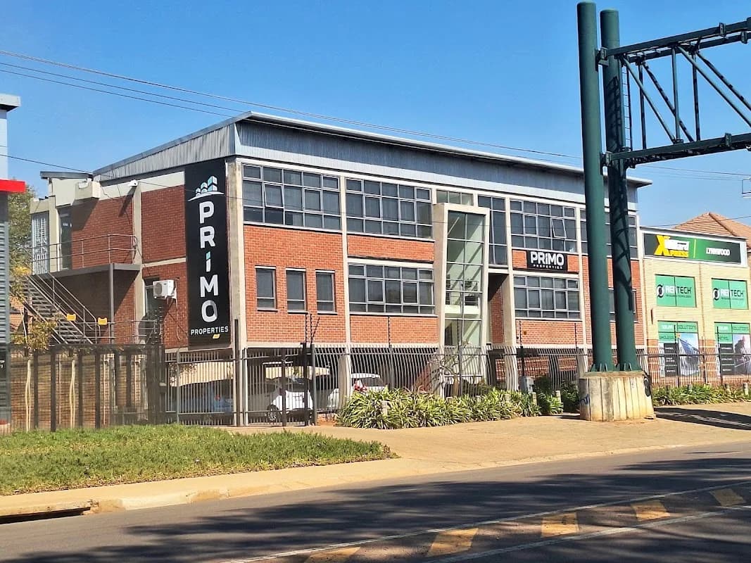 Primo Properties in Brooklyn