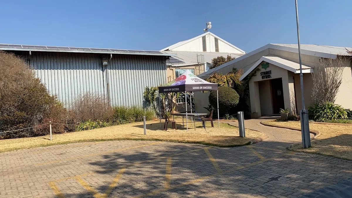 Starke Ayres in Kempton Park