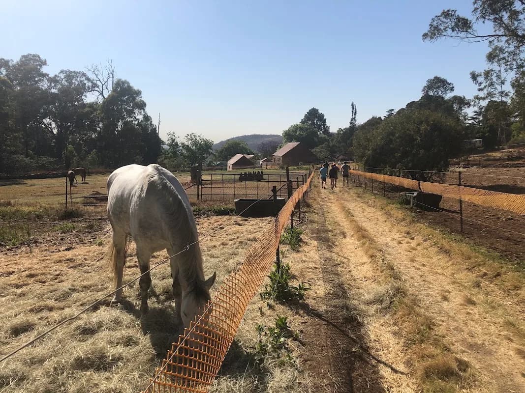 Meyers Farm parkrun in Alberton