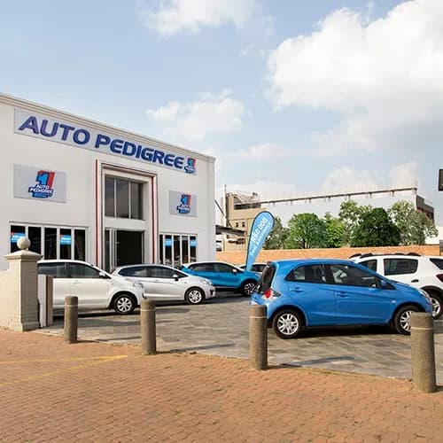 Auto Pedigree Boksburg in Parkrand