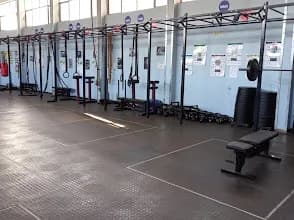 B Unique Fitness in Bendor