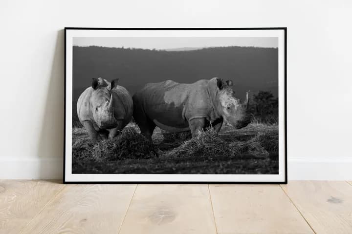 Robyn Garstman Photography in Sedgefield