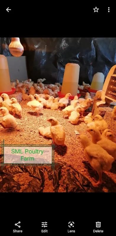 S.M.L Poultry farm in Esther Park