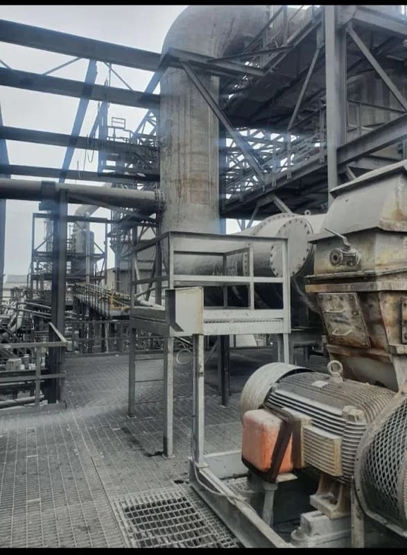 DSLT Project Management in Arboretum