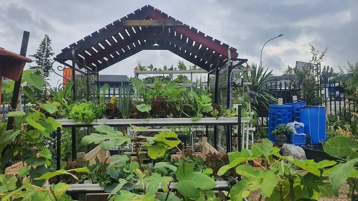 HomeGrowers Sustainable Living in Edenvale