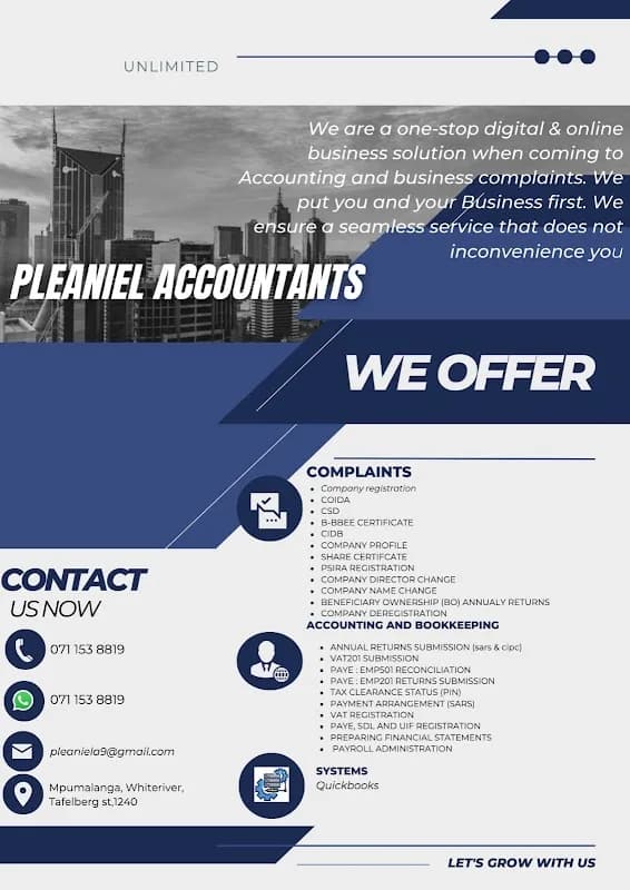 Pleaniel Accountants in White River