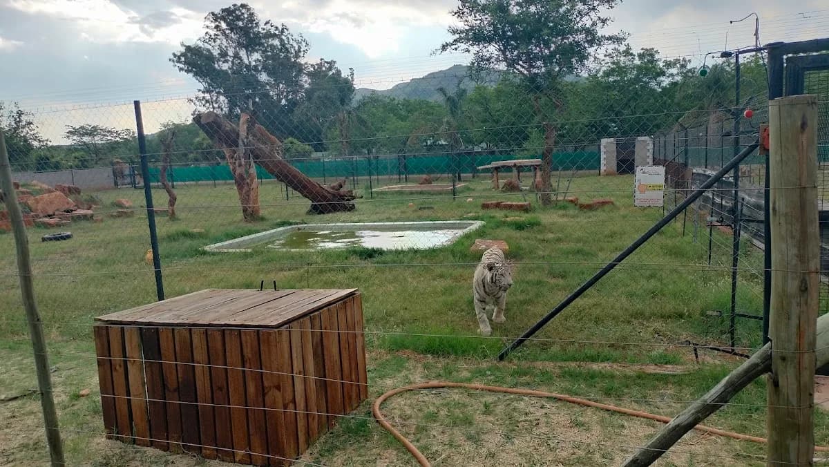 Lost Valley Predator Experience in Safari Extension