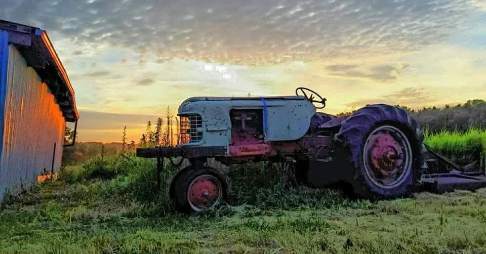 Venter Boerdery in Evander
