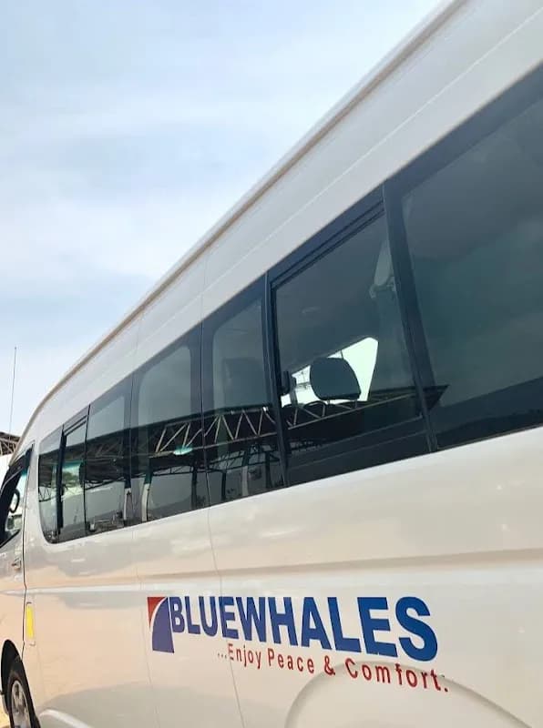 Bluewhales Transport Company Limited in Karshi