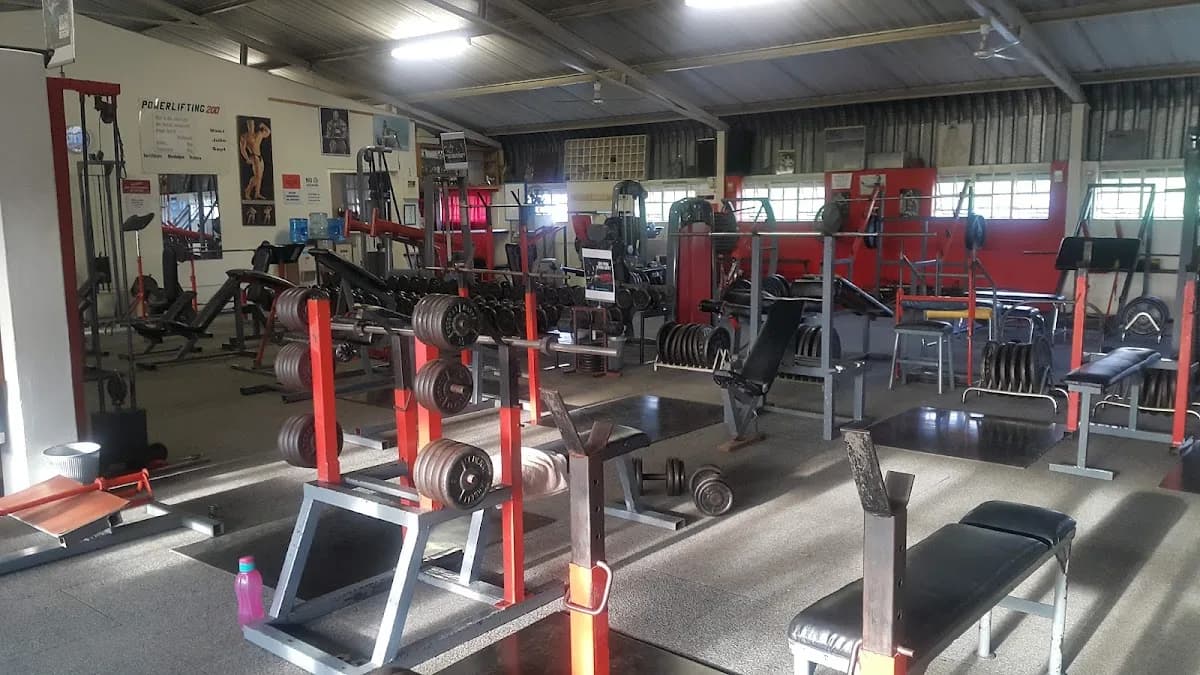 Muscle Mekka in The Moot