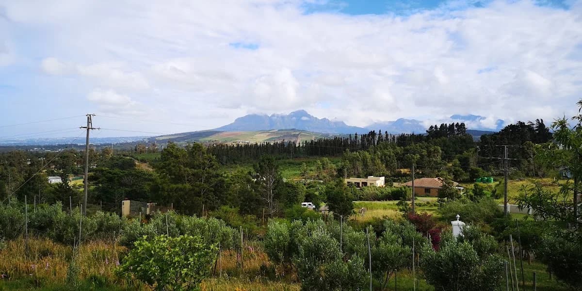The Little Olive Farm in Gordon's Bay