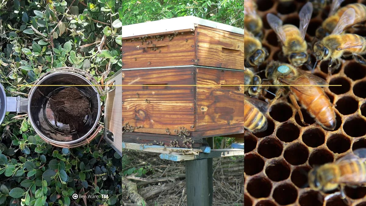 Bee Hives in Highveld