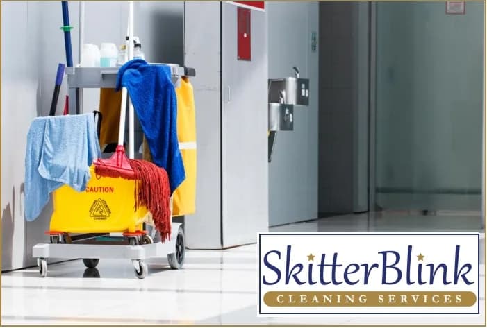 Skitterblink Cleaning Services - Edenvale in Edenvale
