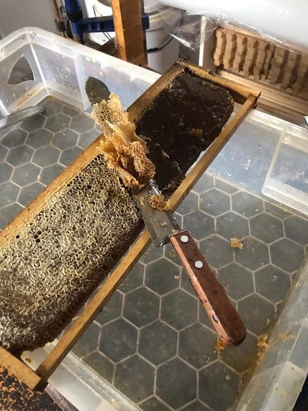 Raw Honey SA in Wierda Park