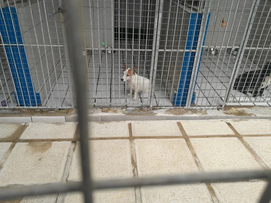 SPCA Richards Bay in Meerensee