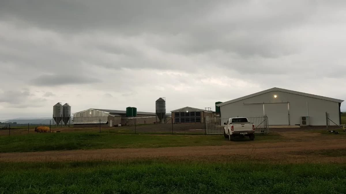 Indlovu Poultry Farm in Northdale