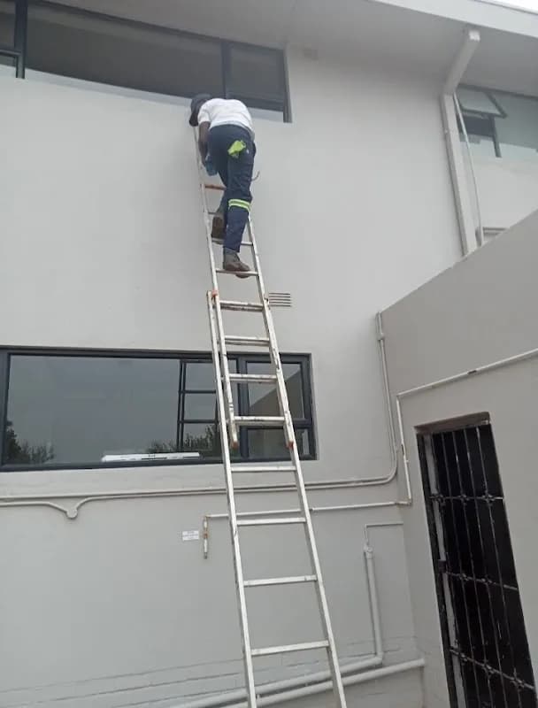 LJC cleaning and projects Ltd in Primrose