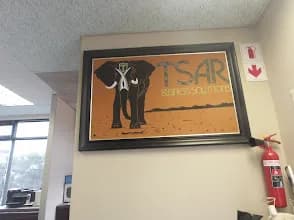 TSAR BUSINESS SOLUTIONS in La Lucia