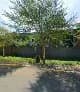 Liberty Kloof in Hillcrest