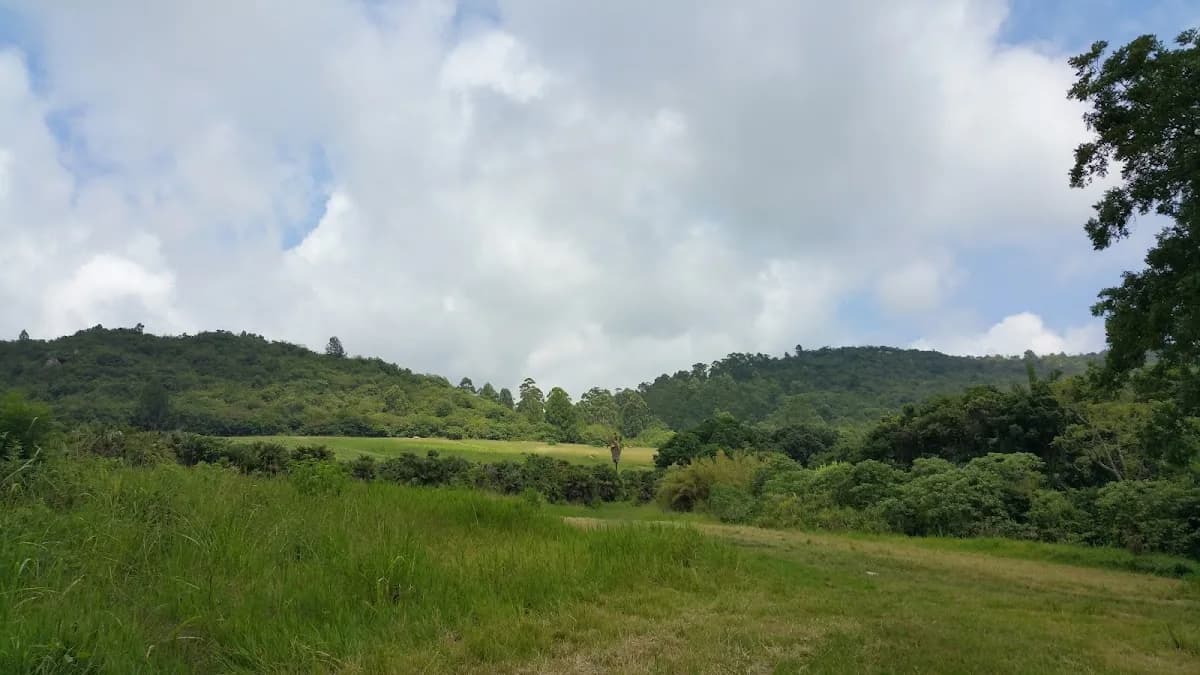 Farm Wikkelspies in Nelspruit CBD